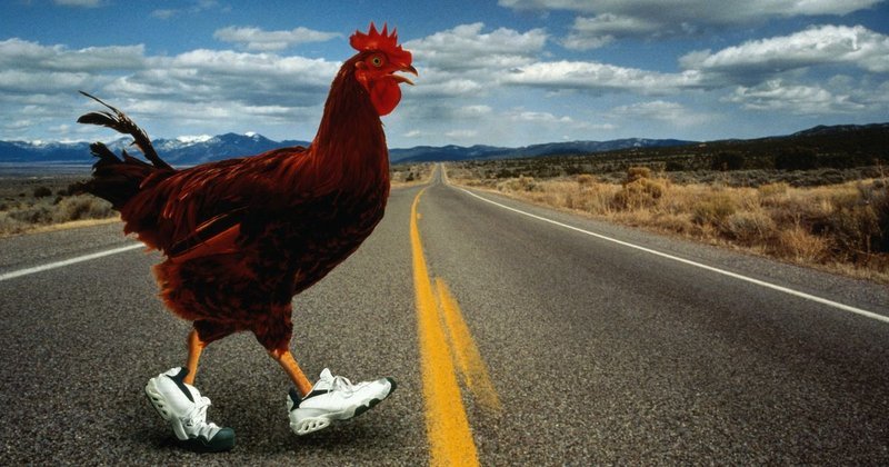 Spain - chicken road españa